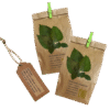 Shokolaadi-piparmunt-sidrunmeliss-aedmonarda-tee