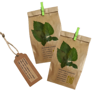 Shokolaadi-piparmunt-sidrunmeliss-aedmonarda-tee
