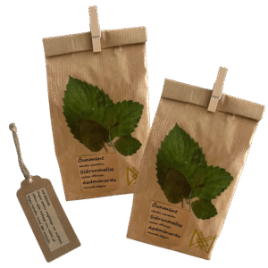 Maagiline teesegu õunmünt, meliss, monarda